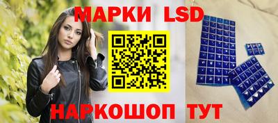 индика Нальчик