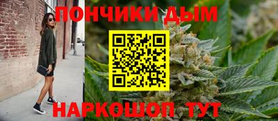 индика Нальчик