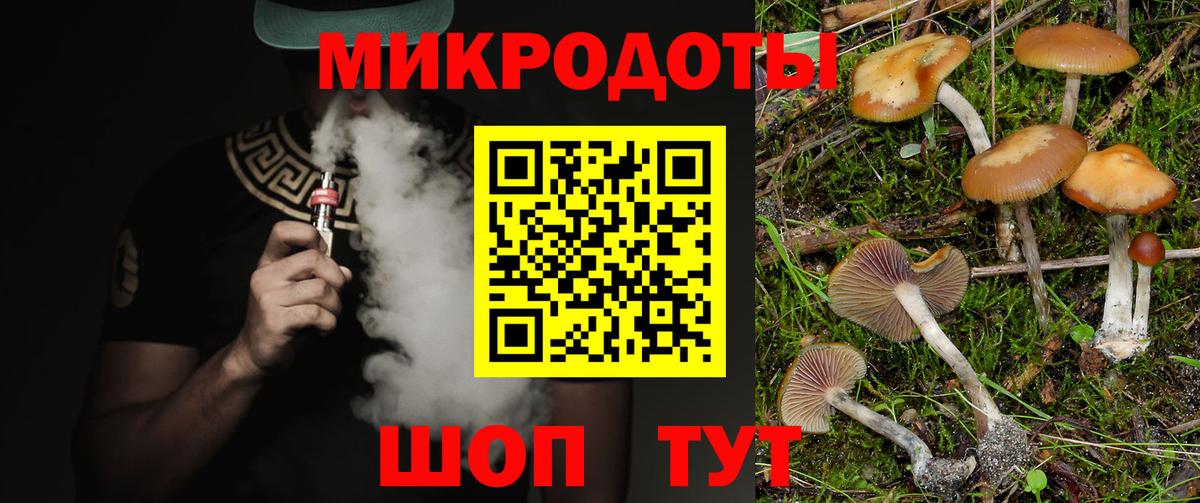 Псилоцибиновые грибы Psilocybe  Псилоцибиновые грибы Cubensis  Унеча  Вход с VPN 